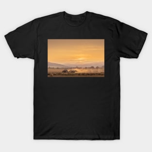 'Golden Harvest Haze', Logierait, near Pitlochry. T-Shirt